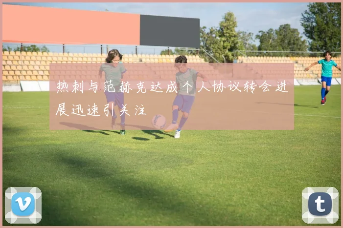 热刺与范赫克达成个人协议转会进展迅速引关注